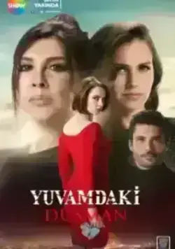 Враг в моём доме (2018)