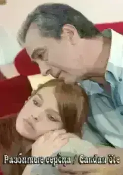 Разбитые сердца (2007)