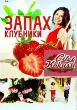 Запах клубники (2015)