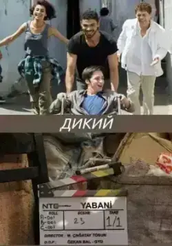 Дикий (2023) онлайн